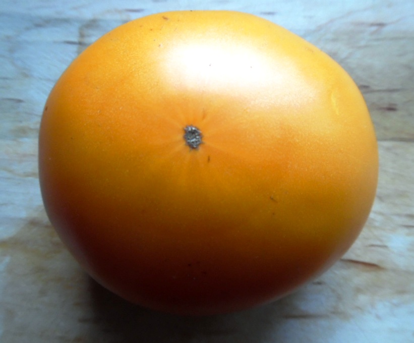 Kellogg's Breakfast Tomato seeds