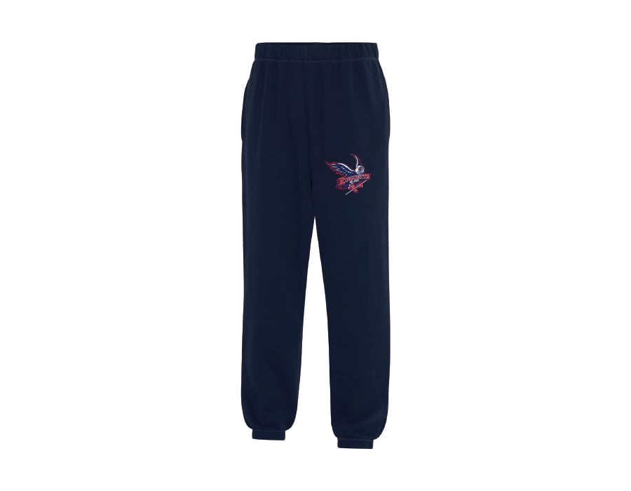 Navy blue jordan on sale sweatpants