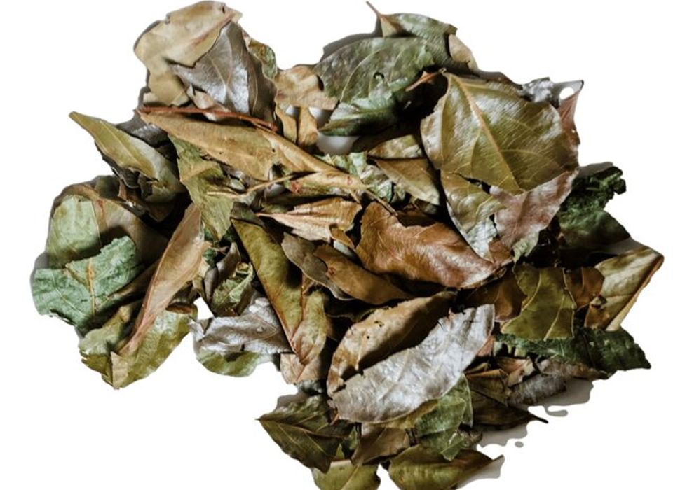 Kinkeliba En Feuilles - 100g, Biologique, Digestif - Infusion à Base De Plantes, Made In France