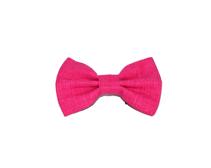 Pink 2024 bow collar