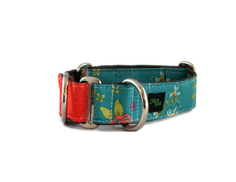 Coral shop dog collar