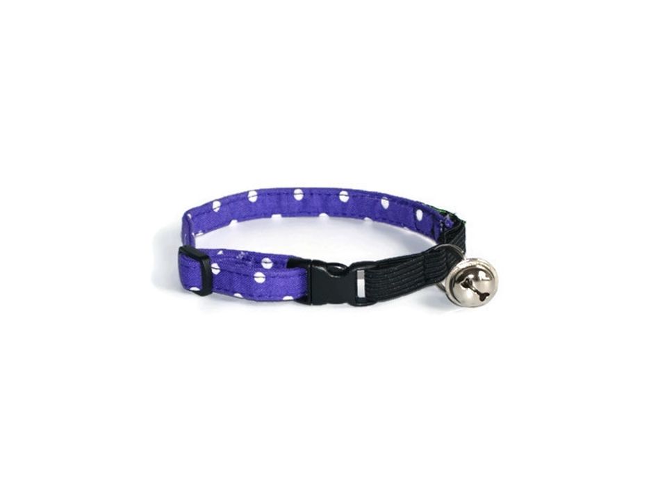 cats , cats accessories , cats collar