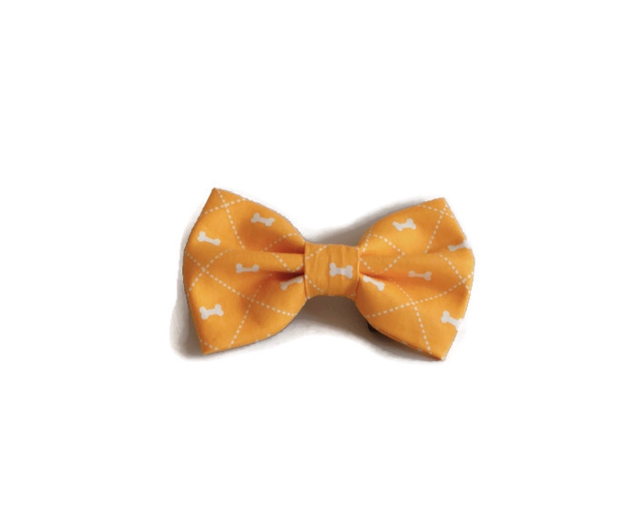 Dog bone 2025 bow tie