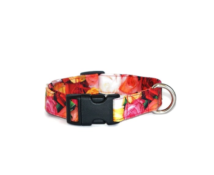 Dog collar with sales roses