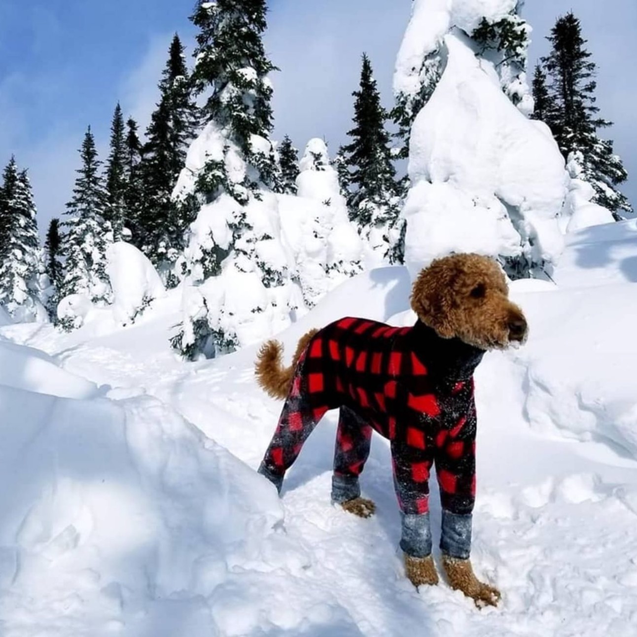 Manteau CLASSIQUE PLAID ROUGE ET NOIR