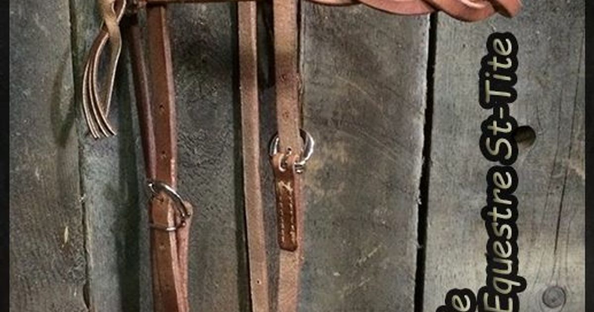 Shires Aviemore Bandeau Noir Poney Du Bridles Shires Aviemore