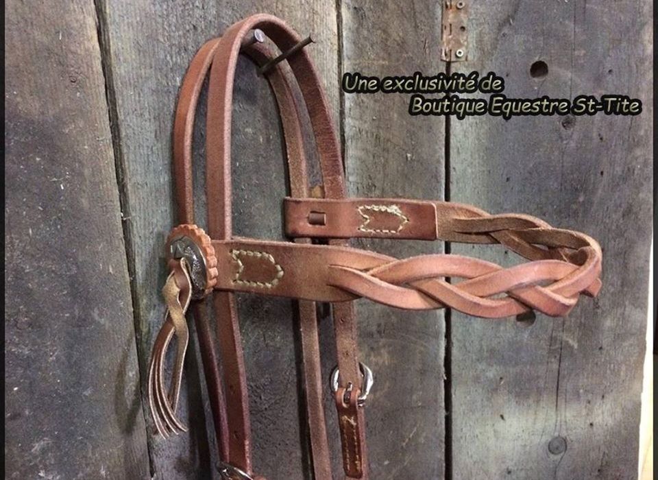 Bride western en cuir WeavingCraft : frontal tressé en cuir brut, franges en cheveux noirs HS527 - Canada