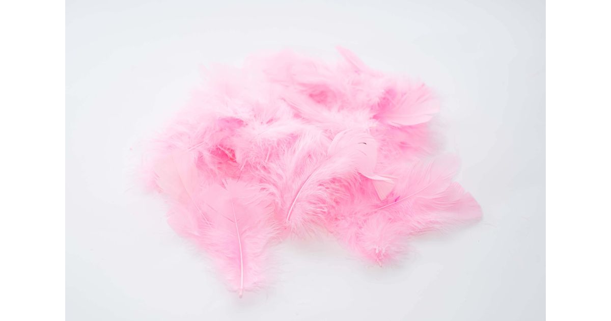 FEARAFTS Boa en plumes de marabout de 30 g pour travaux manuels, fête, déguisement, décoration d'arbre de Noël, 183 cm, 1,9 m FEARAFTS Boa en plumes de marabout de 30 g pour travaux manuels, fête, déguisement, décoration d'arbre de Noël, 183 cm, 1,9 m