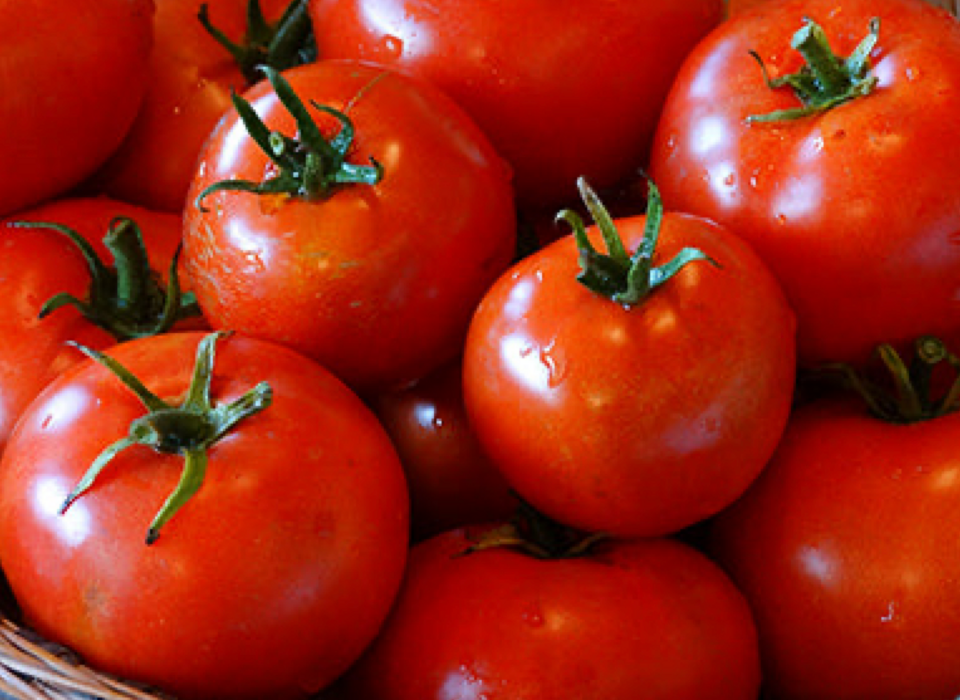 Brandywine Pink Heirloom Tomato