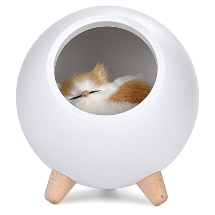 little pet house atmosphere light