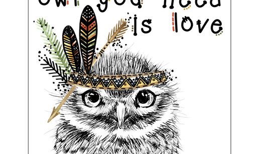 owl - 16'' x 16''