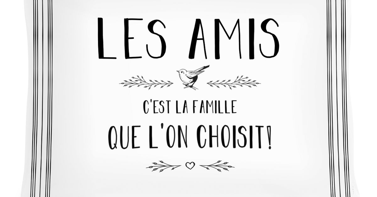 Coussin "Les amis c'est la famille que l'on choisit!"