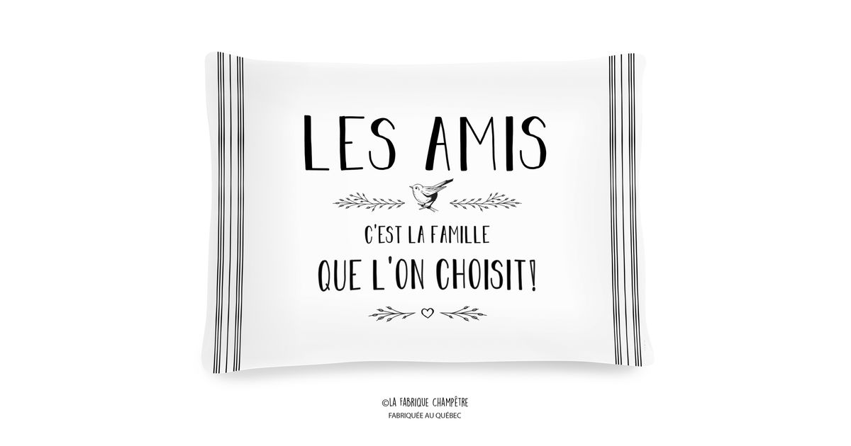 Coussin "Les amis c'est la famille que l'on choisit!"