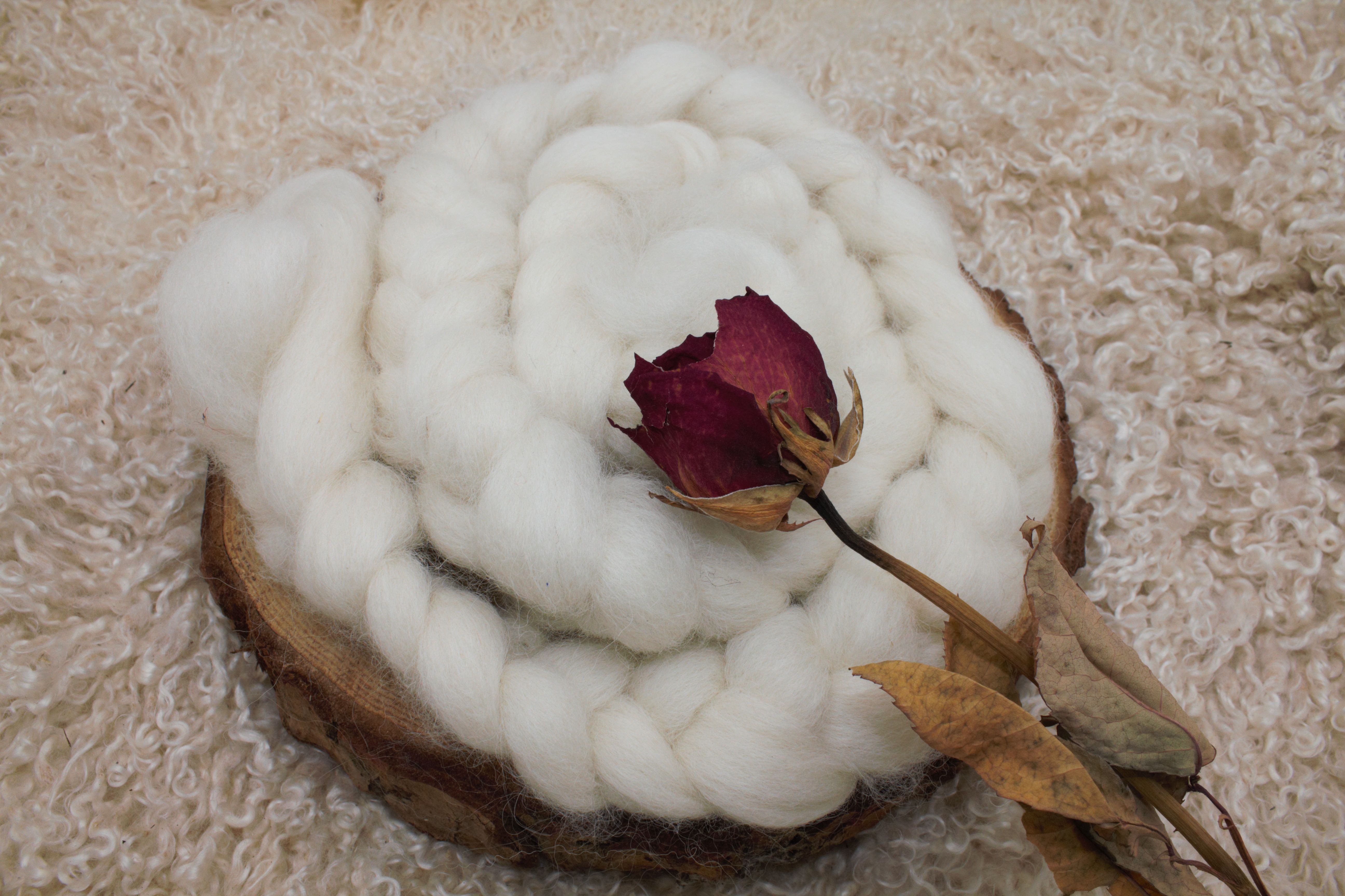 Pelote laine d'alpaga écru naturel - Mohair Normandie