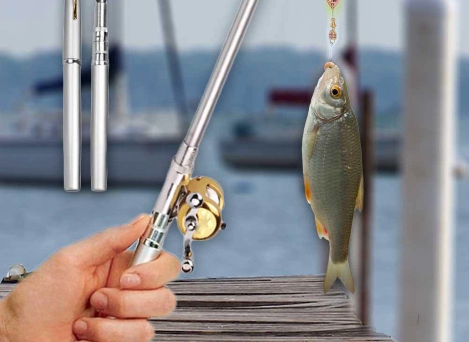 Canne à Pêche Télescopique Portable 1,2m - Pour Voyage, Pêche En Mer Ou Rivière