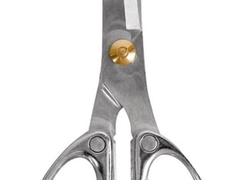All Metal 6.5 Scissors