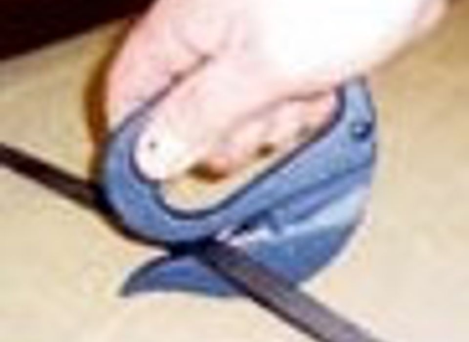 Swan, Disposable Bag Cutter - Metal Detectable