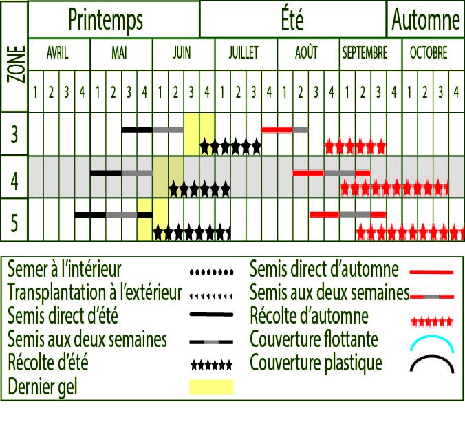 Graines De Radis Patricia - Variété Précoce Et Productive - Racines Allongées Rouge Et Blanc - Récolte En 27 Jours - 9
