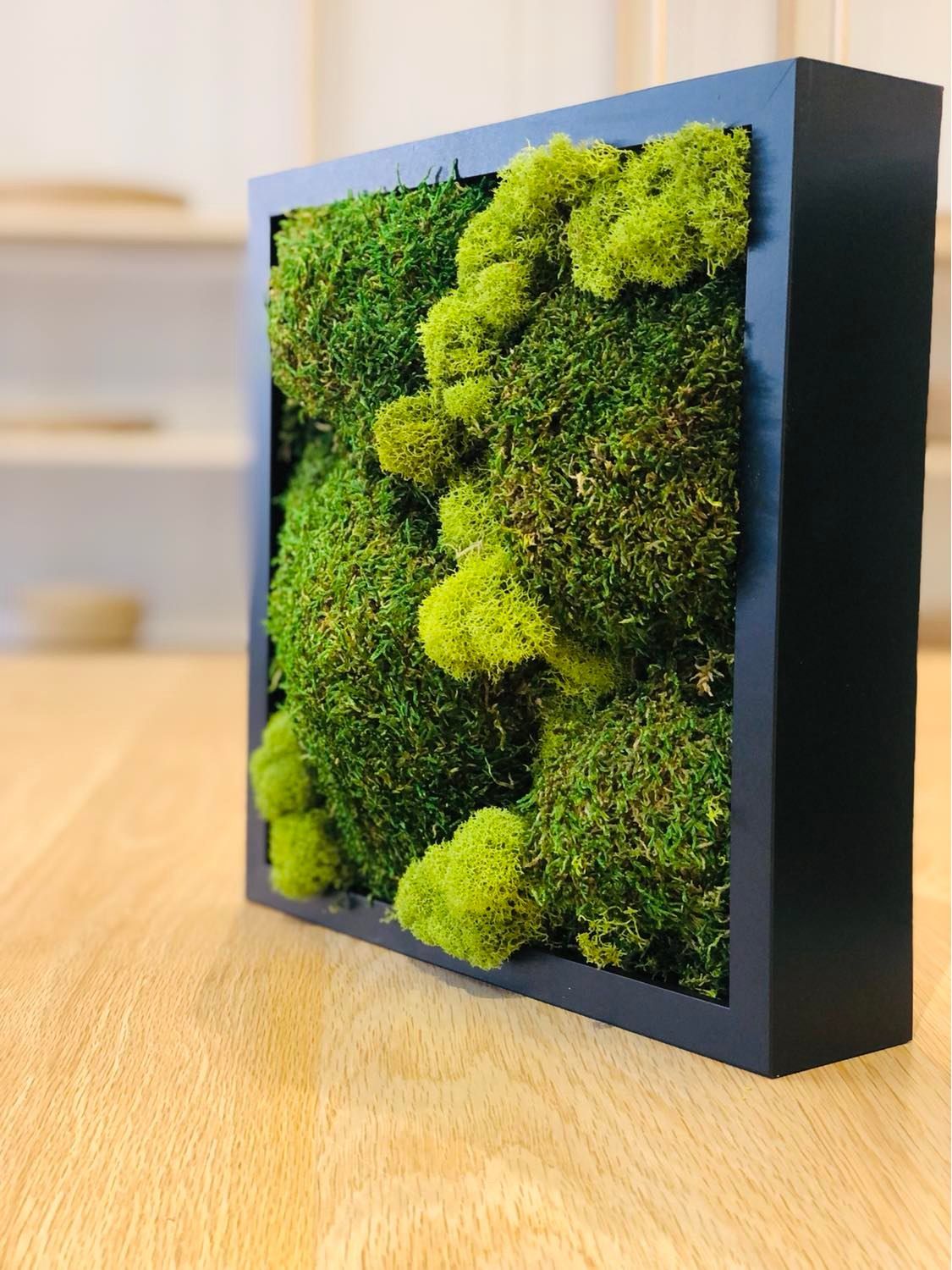 Moss Wall Art 18x18