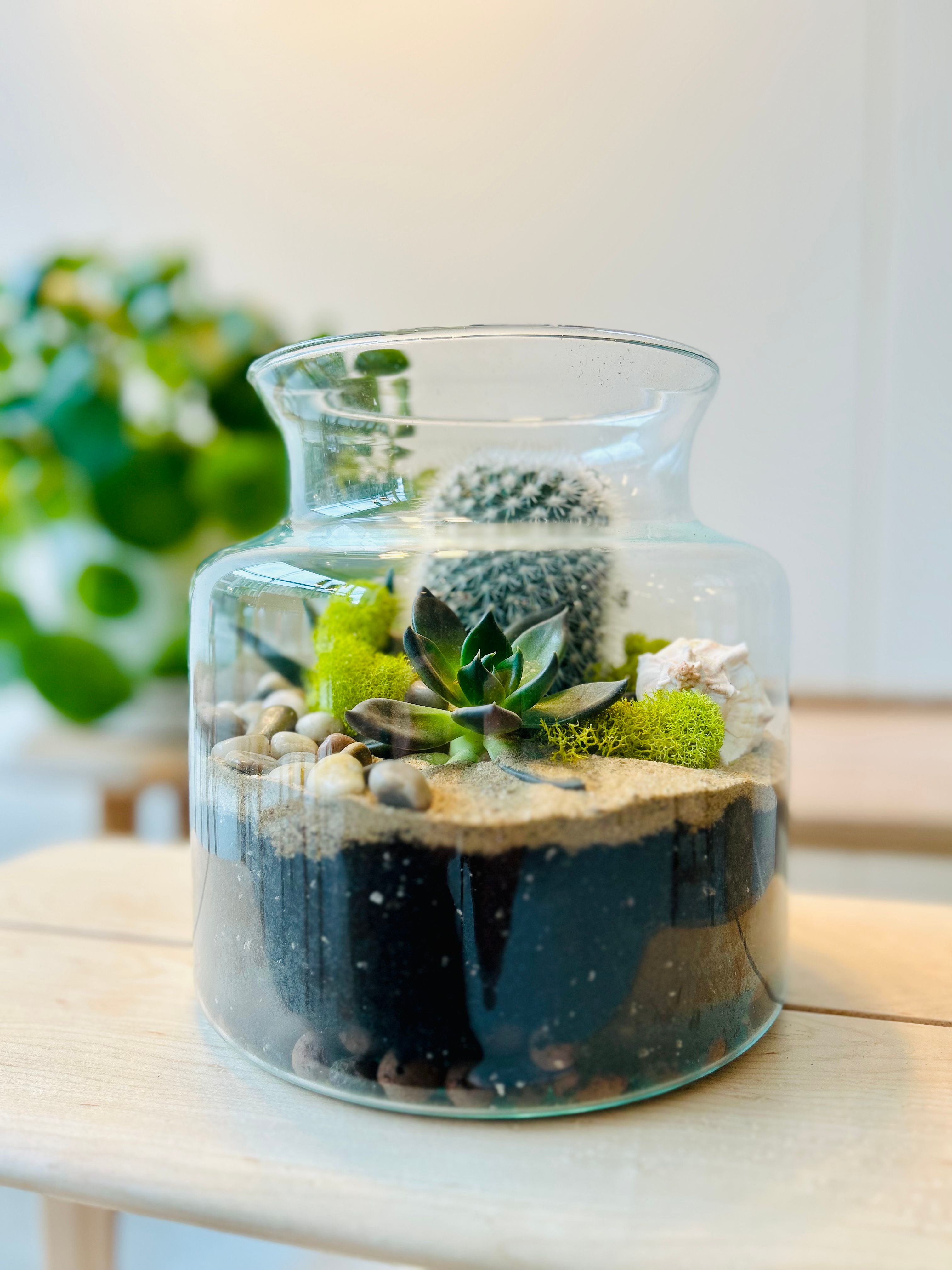 SET ECOSISTEMA TERRARIUM VASO IN VETRO con attrezzi - Savarese Carmine