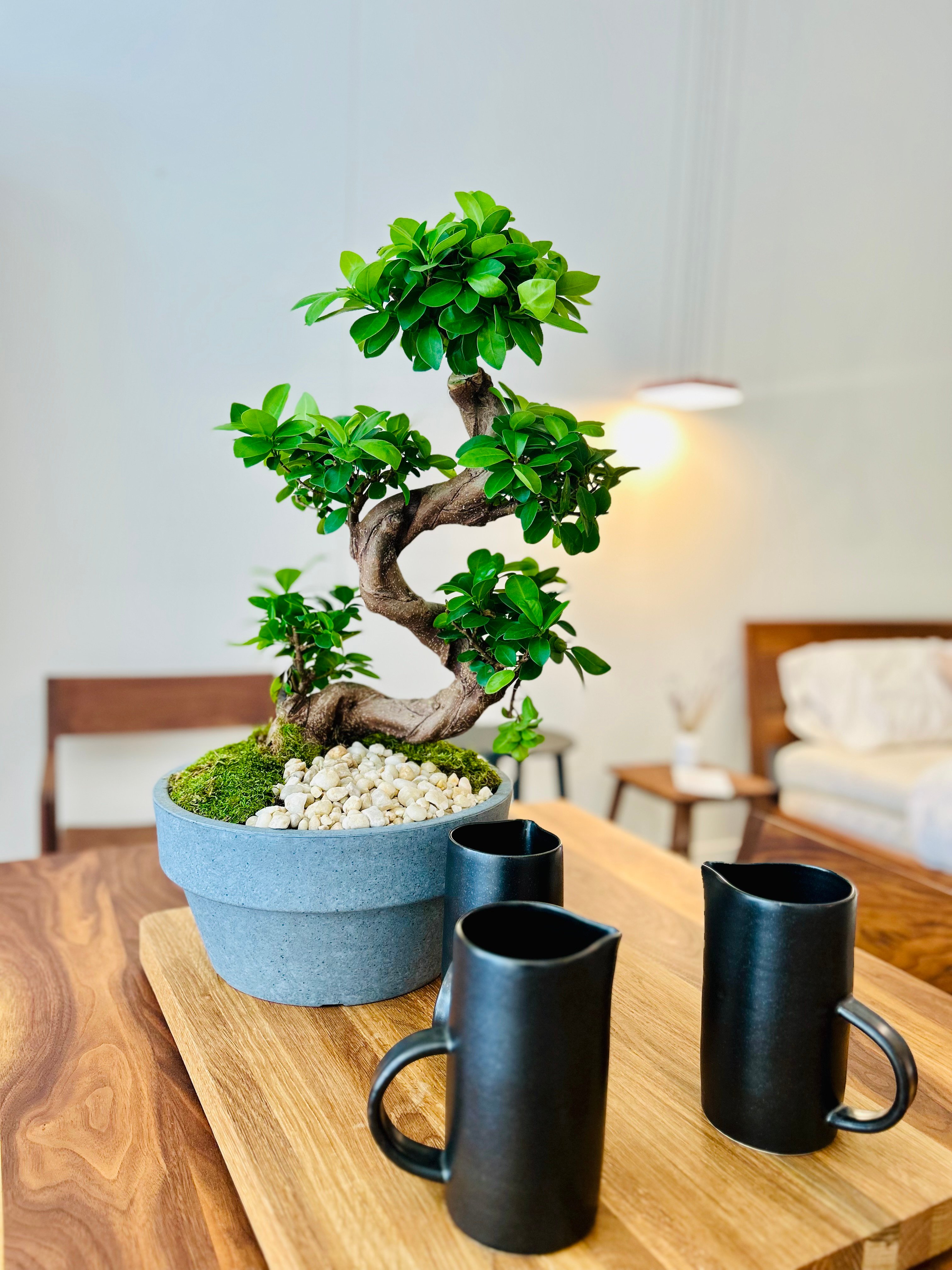 中川智治 特大浅鉢 植木鉢 検索 raw life factory invisible ink